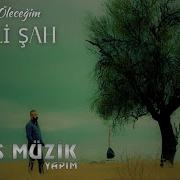 Ali Şah Öleceğim Sallama 2022