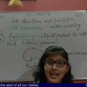 Biology Cell Structure Function Part 4 Cell Membrane Protoplasm NCERT