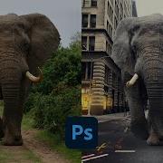 Как сделать композицию в Photoshop упрощенно