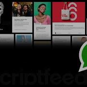 How To Add Floating WhatsApp Button Without Plugin In Website Scriptfeeds