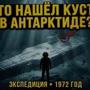 Что нашёл Кусто в Антарктиде Тайна экспедиции 1972 года