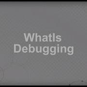 What Is Debugging Why Debugging Is Important