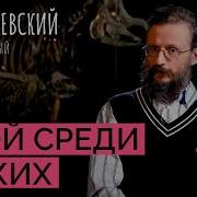 Обнимашки Vs вражда к какому поведению склонен человек Дробышевский Человек разумный