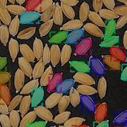 Seed Instance Segmentation