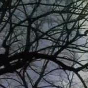 Labyrinth Paul Giger Violin Solo In The Labyrinth Of The Cathedral Of Chartres M4v