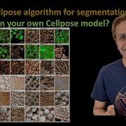 305 Что такое алгоритм Cellpose для сегментации