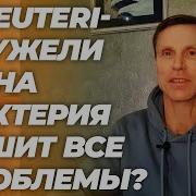 No More Stress Will One Bacteria Solve All Your Health Problems L Reuteri