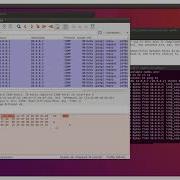 Mininet Test