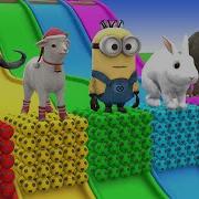 Long Slide Game With Elephant Gorilla Buffalo Hippopotamus Tiger 3d Animal Game Funny 3d Animals