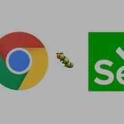 How To Install Chrome WebDriver On Macbook Mac OS