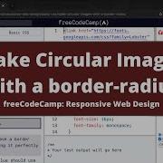 Make Circular Images With A Border Radius Basic CSS FreeCodeCamp Tutorial