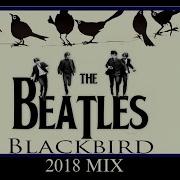 THE BEATLES BLACKBIRD 2018 MIX FAN VIDEO HD