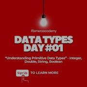 Dynamo Zero To Hero 55th Batch Day 01 Data Types