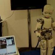 ICub Humanoid Robot