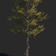 ADVANCED DYNAMIC SHADERS 2 2 SpeedTree Support Coming Soon