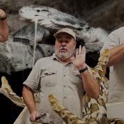 Angry Momma Python Defends Her Snake Eggs