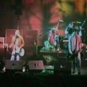 Nirvana Very Ape Lounge Act Palatrussardi Italy 1994 MTX