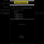 The If Statement In Java