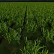 Unity 3D Interactive Grass Shader HDRP