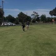 Y Agility Drill