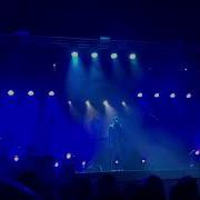 Дельфин Dolphin Темно Teleclub Екатеринбург 27 02 2021