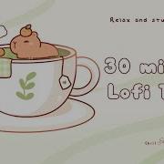 30 Minutes Relax Study With Me Lofi Matcha Capybara Timer 30minutetimer Lofi Relaxing Calm
