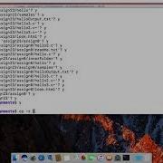 The Rm Command On Linux To Permanently Remove Files