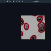 Annotation Instructions For MIBI Images With Guided Segmentation