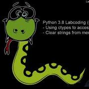 Python3 8 Ctypes How To Access String From Memory And How To Memset Them Short Labcoding