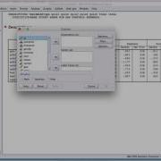 Using The SPSS Descriptives And Explore Analyses