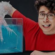 Best Science Experiment Win 1 000