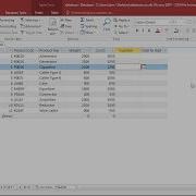SQL In MS Access Generate Delete And Change Columns With ALTER TABLE