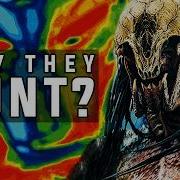 DARK Reason Predators Hunt FINALLY Explained Despite Having Space Travel