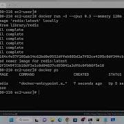 Docker Allocate Custom CPU And Memory