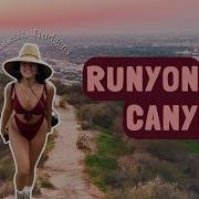 Celebrities Favorite Hiking Trail Runyon Canyon