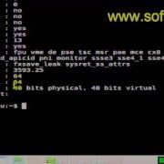 How To View CPU Information In Arch Linux
