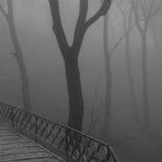 Thy Light The Bridge