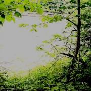 Natron Test