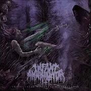 Infant Annihilator Crucifilth Audio HD