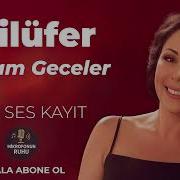 Haram Geceler Nilüfer Yüreğe Dokunan Yorum Ham Ses