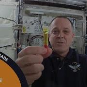 Christa S Lost Lessons Liquids In Microgravity