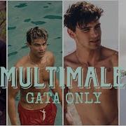 Multimale Gata Only