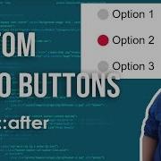 How To Create Custom Radio Buttons Using CSS Complete Tutorial Code Grind