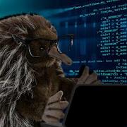 Los Programadores