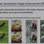 Semantic Adversarial Attacks For Privacy Protection