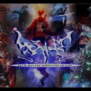 DMC Series 21st Collab Combo MAD SENSE