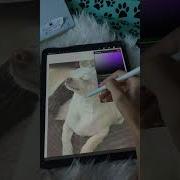 One Line Art Pet Portrait Tutorial EASY For Beginners