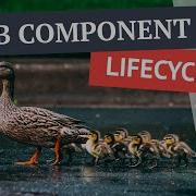 The Web Component Lifecycle And Vanilla JavaScript