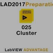LabVIEW CLAD 025 Cluster