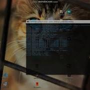 Clean Up Your Desktop With This Python Script